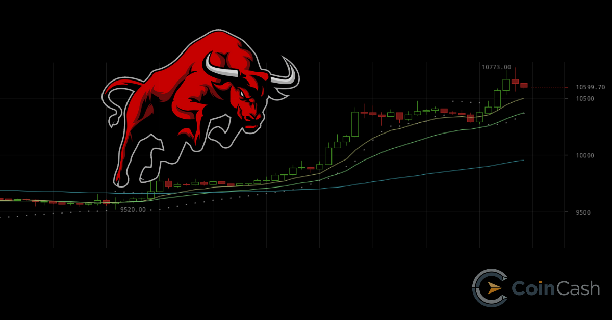 The Revenge of the Bulls: The $11,000 exchange rate is back on the horizon